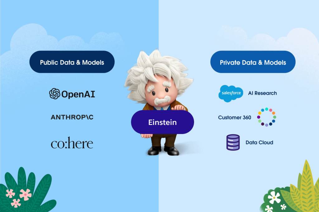 Einstein standing in the centre of a split screen with "public data and models" on the left and "private data and models" on the right.