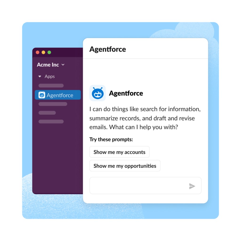 Einstein asks the user what they'd like to do, like be shown their accounts or opportunities.