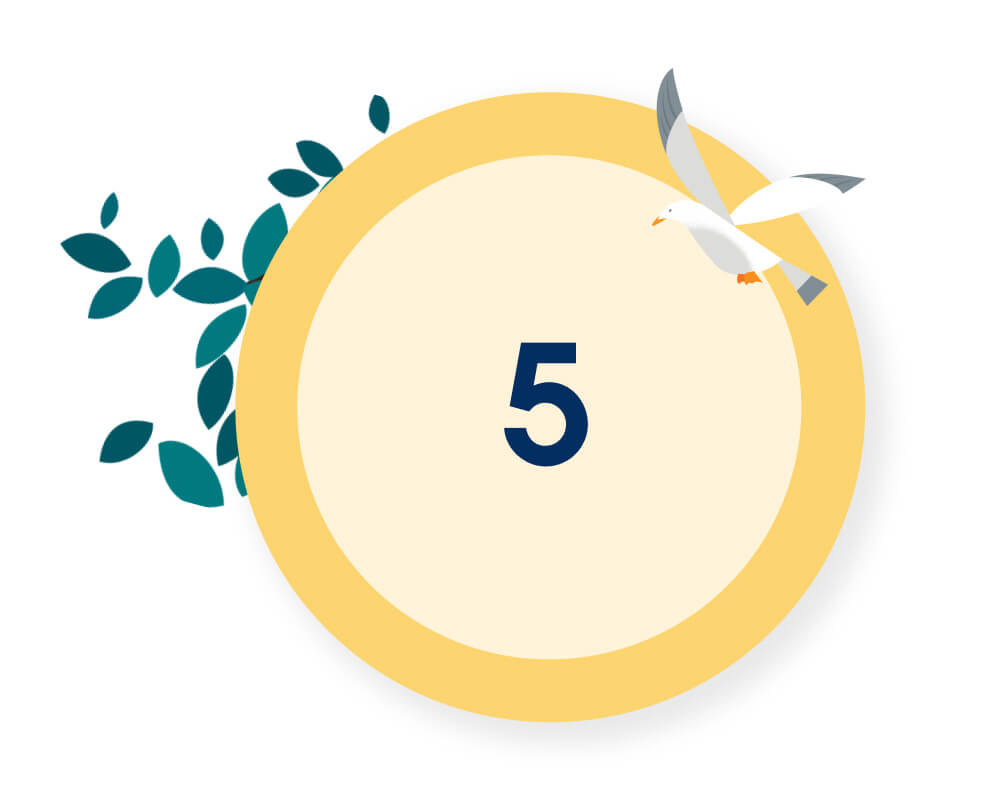 5