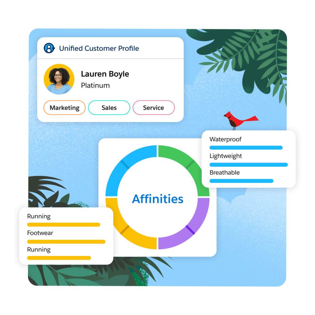 Image of a customer data profile. 
