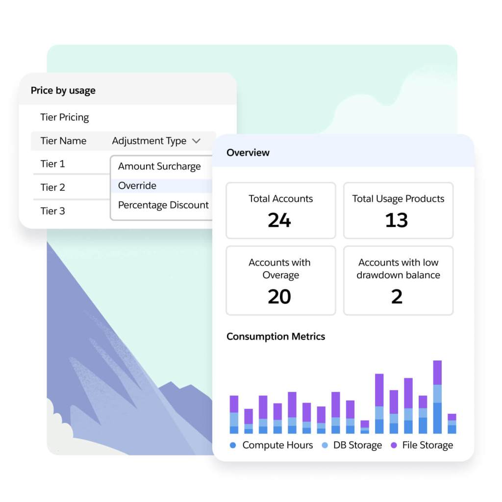 An usage overview shows total accounts, usage products, overages and low drawdown balance as well as usage metrics.
