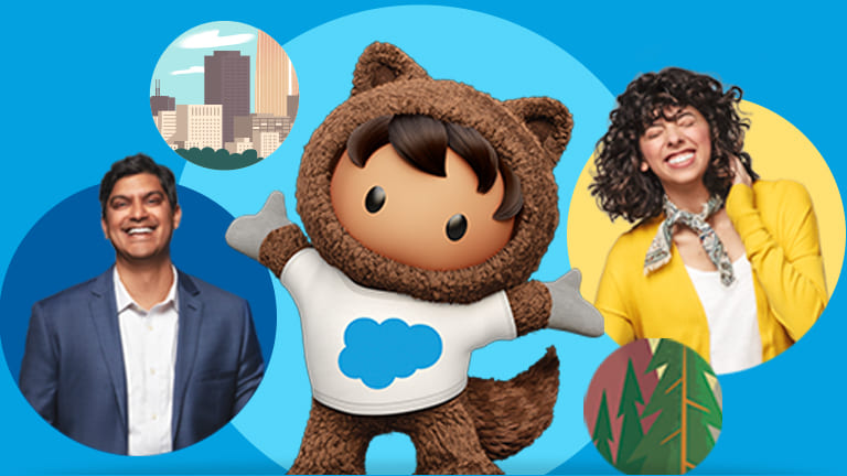 Go to the What does Salesforce do blog post