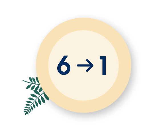 6 to 1