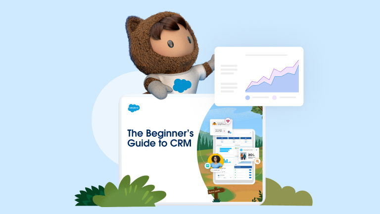 Cover report of The Beginner’s Guide to CRM.
