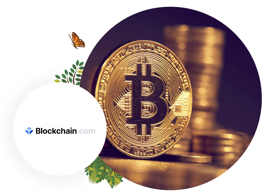 Bitcoin Image zoomed in.