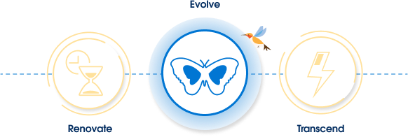 The evolve mindset