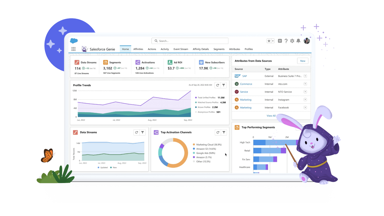 Salesforce Data Cloud Demo