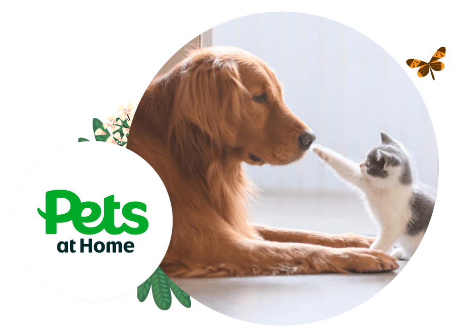 Pets At Home logo alongside the bubble image of a cat booping a dog's nose.