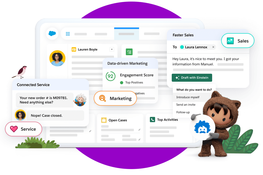 A customer information dashboard on the accounting CRM, where the sales, service and marketing are all improved by Einstein’s AI capabilities.